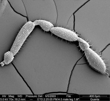 Media type: image;   Invertebrate Zoology 134639